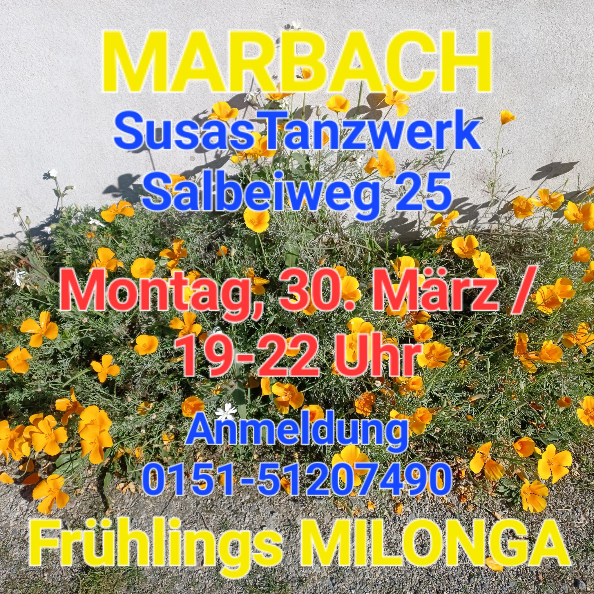 Unbenannter Beitrag 508